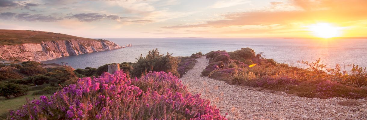 Headon Warren sunset